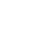 Certificate icon